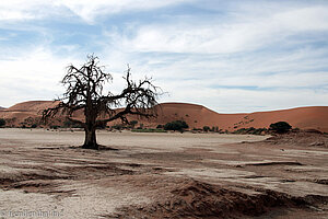 Blick über die Salzpfanne des Sossusvlei