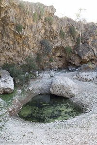 Ausflug zur Quelle Ain garziz nahe Salalah