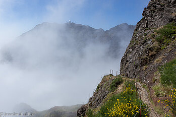 am Pico das Torres