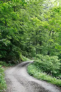 Wanderweg zum Plattenbödeli