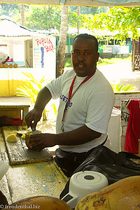 Barmann auf Cayo Levantado