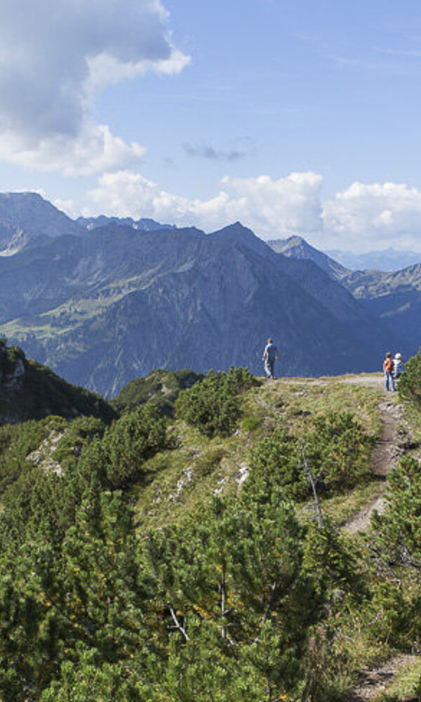 Traumhafter Weg zum Iseler