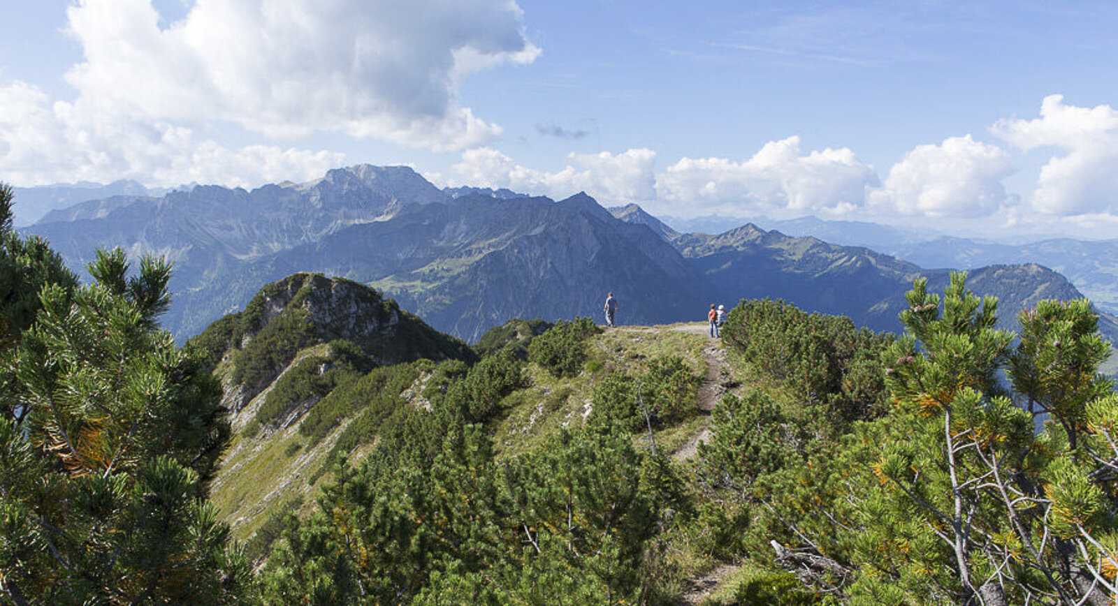 Traumhafter Wanderweg zum Iseler mit Sicht auf etliche Gipfel der Allgäuer Alpen