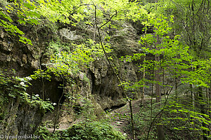 Aufstieg über Treppen zum Hinanger Wasserfall