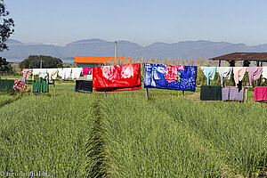 Idylle zwischen Shan-Berge und Inle-See