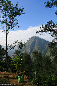 und noch ein Blick zum Berg Ella