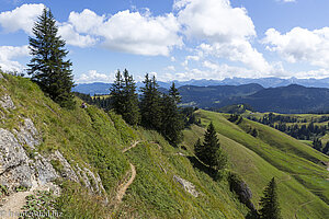 Die herrliche Aussicht vom Siplinger Kopf