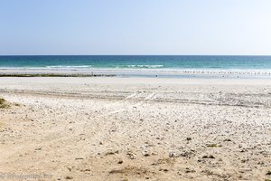 Mughsail Beach im Oman
