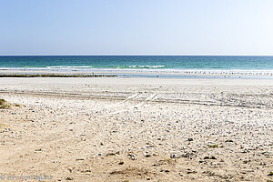 Mughsail Beach im Oman