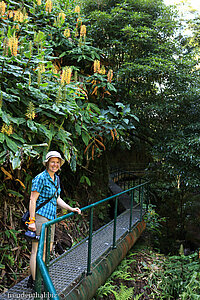 Annette auf dem Weg zum Wasserfall