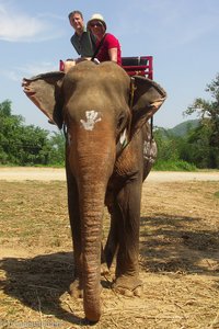Annette und Lars auf dem Elefant bei Kanchanaburi