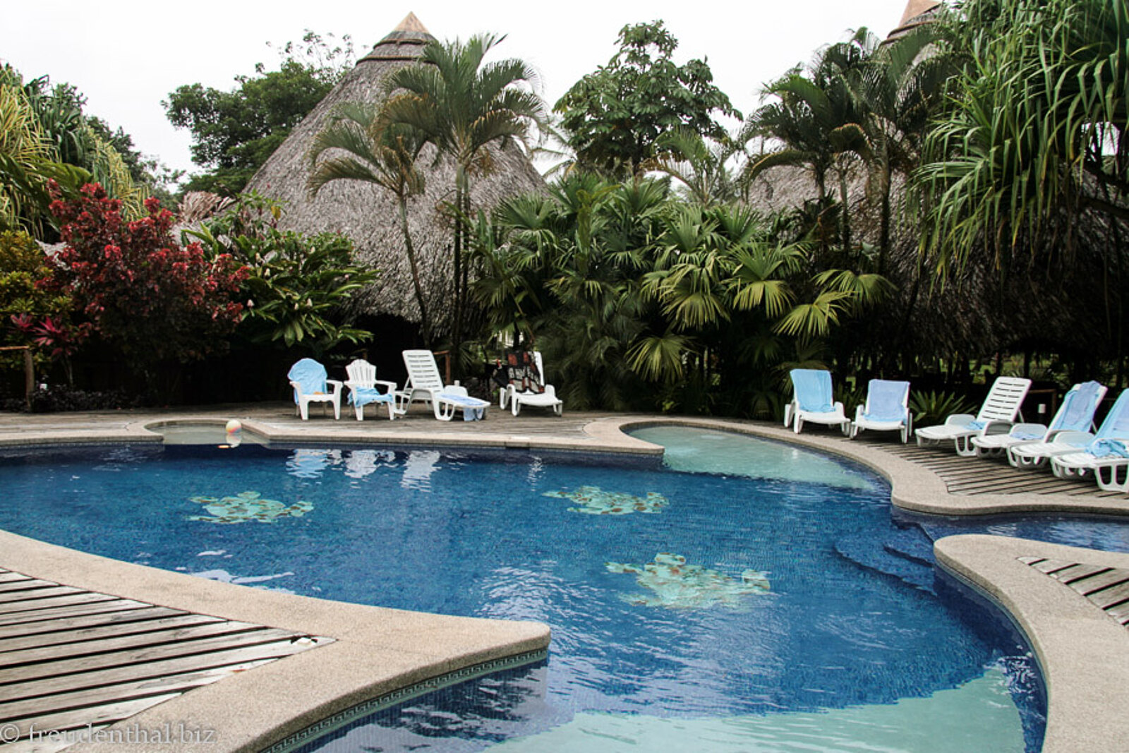 Schildkrötenpool Turtle Beach Lodge bei Tortuguero in Costa Rica