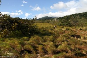Graslandschaft bei Rincón de la Vieja