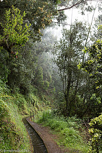 entlang der Levada do Rei