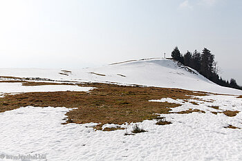 auf der Anhöhe zwischen Spitzmoos und Breitenau