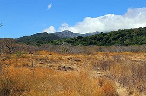 Blick zum Vulkan Rincón de la vieja