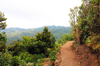 Wanderweg El Tigre Waterfall Reserve