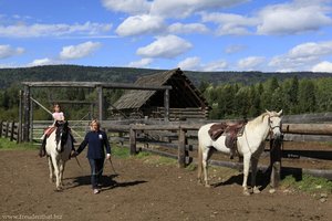 Pferde für den Reitausflug auf der Wells Gray Guest Ranch