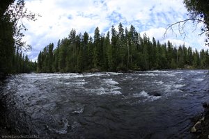 Murtle River oberhalb der Helmcken Falls