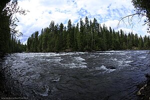 Murtle River oberhalb der Helmcken Falls