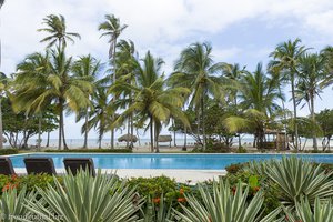 Pool und Palmen beim Hotel Hukumeizi in Kolumbien