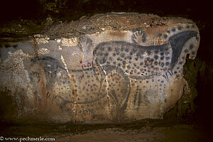 Pferde in der Höhle von Pech Merle