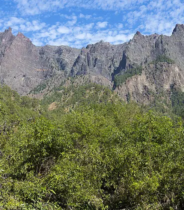 Wanderung durch die Caldera Taburiente