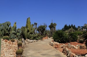 Botanicactus - Kakteengarten auf Mallorca