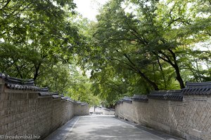 Der Weg in den Geheimen Garten des Changdeokgung