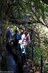 wieder auf dem Rückweg an der Levada