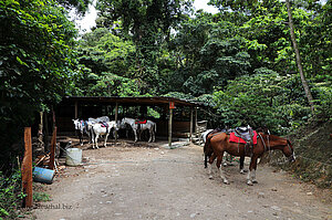 Pferdestall am Ende des El Tigre-Trails