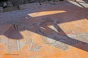 Mosaiken Gladiatorenhaus