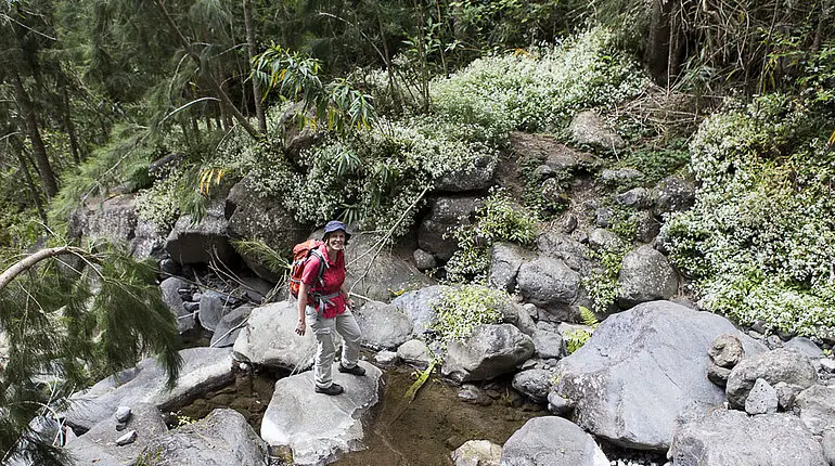 über Stock und Stein auf La Réunion