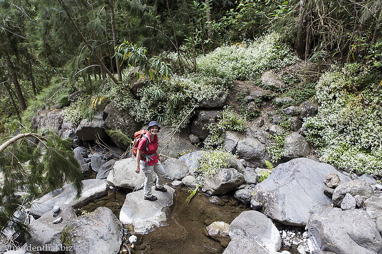 über Stock und Stein auf La Réunion