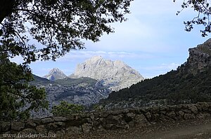 Blick von der Finca Mossa zum Puig Major