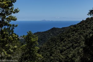 Ausblick von der Levada Queimadas zur Küste Madeiras