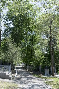 Jüdischer Friedhof von Orhei in Moldawien