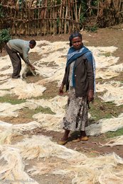 Äthiopische Bauern trocknen am Straßenrand ihre Ernte.