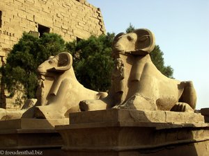 Sphingen-Allee vor dem Karnak-Tempel