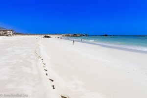 Spuren im Sand am Fazayah Beach im Oman