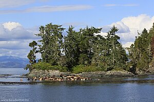 im Johnstone Strait