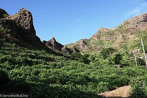 Bohnenfelder am Berg nahe dem Gongon Tal