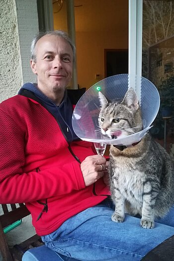 Kragenschutz für Katze