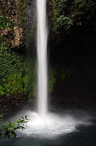 Blick auf die Catarata Río Fortuna