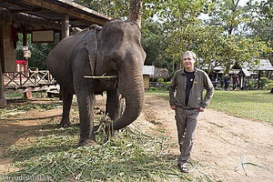 Im Elephant Village von Luang Prabang