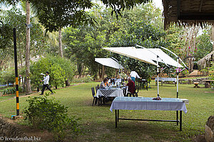 Blick vom Restaurant in den Garten