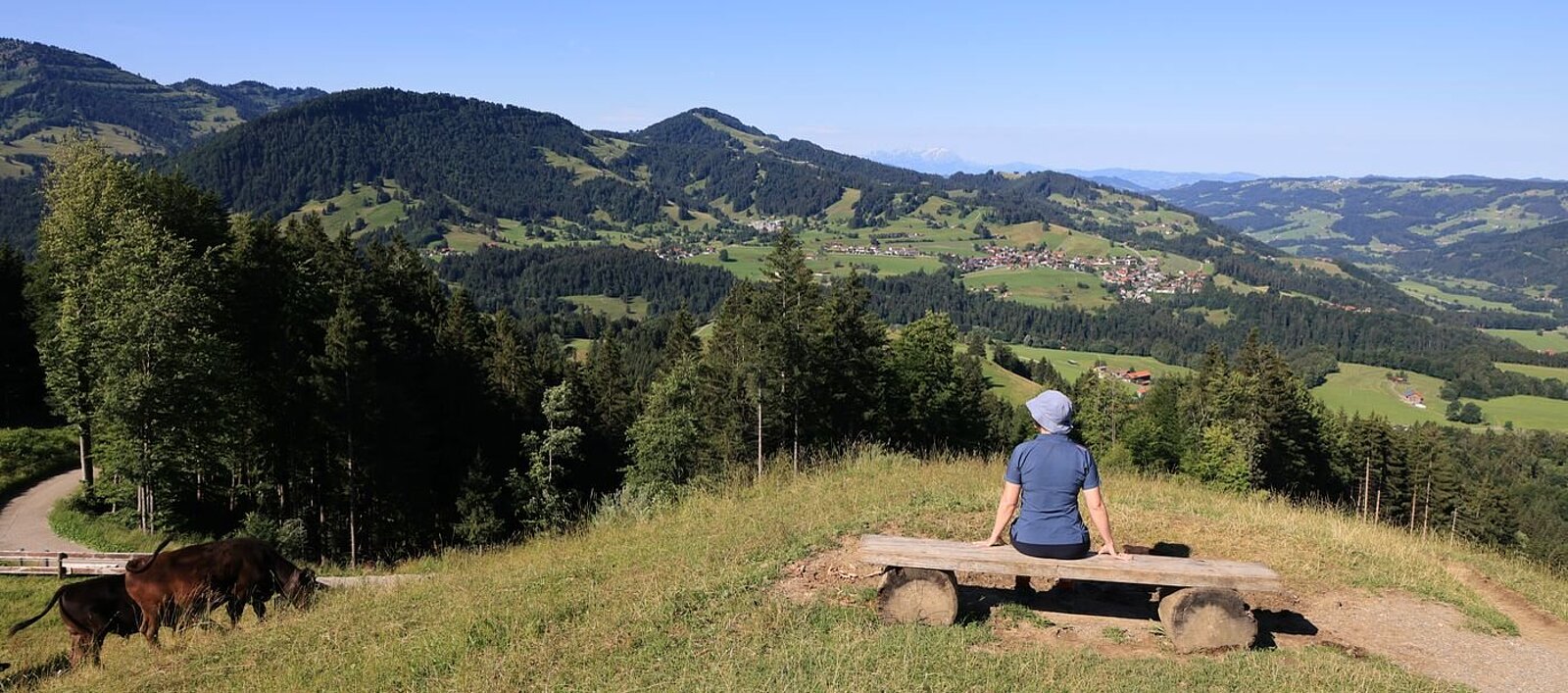 Wanderin und Aussicht vom Hündlekopf bis zu den Bergen in der Ostschweiz