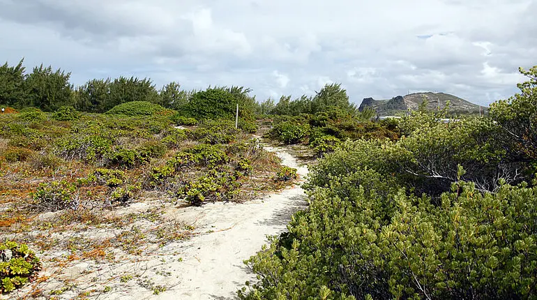 Spazierweg auf der Vogelschutzinsel Ilot Gabriel