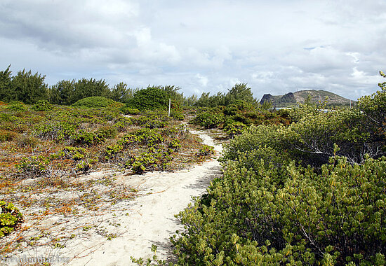 Ausflug ab Grand Baie zur Îlot Gabriel