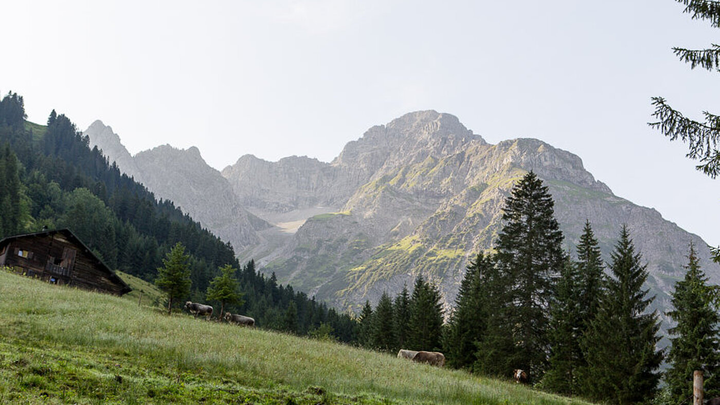 Großer Widderstein hinter dem Bärgunttal